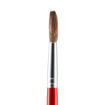 Picture of JUNIOR PAINTBRUSH ROUND